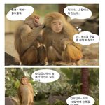 유세윤 패러디~ 군화기다리시는 곰<b>신들</b>! 힘내세요~