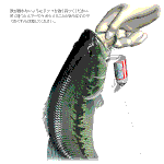 몰라 그냥자야지..