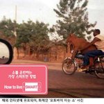 소토<b>바이</b>.jpg