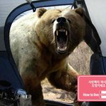 저기요 옆 <b>텐트</b>에서 왔는데요