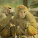 유세윤 개코<b>원숭이</b>로 변신! 누가 유세윤이고 누가 개코<b>원숭이</b>여?