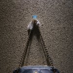 샵에서 일하는 직원입니다ㅜㅜ도둑이 들었어요 도와주세요ㅜㅜ