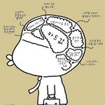 <b>직</b><b>딩</b>들의 뇌구조.................