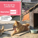 그 놈의 <b>정이</b> 뭔지.....