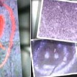 11년째 추적 중인 '웃는 얼굴 그림' 살인 미스터리