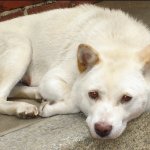 소개팅에 임하는 남자들의 자세 -기본편-