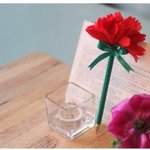 어버이날 부모님께 드리는 ♥ 카페 건강음료 한잔 캬.
