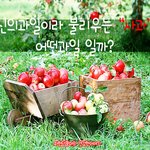 <b>신의</b>과일이라 불리우는 "사과" 어떤과일 일까?