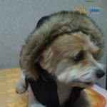 한번 읽어주시고. 따뜻한 댓글 부탁 드리겟습니다.
