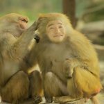 유세윤 개코원숭이 부부의 <b>한가</b>로운 한 때~