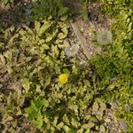 루믹스 GF2로 <b>STORY</b> 찍기 -헤이리'꽃'편