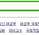 네이버에 "국제망신"치면 <b>연관</b>검색어로