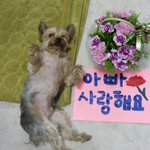 어버이날!! <b>출장</b>간 아빠를 위해 콩이가