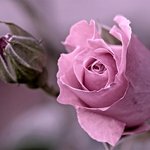 ♡당신을 알게 되어 행복합니다.♡