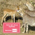 그녀의 목에 <b>딥키스</b>.jpg
