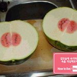 길빵하는 놈들 얼굴에 염산을 뿌려줘야한다. 왜냐