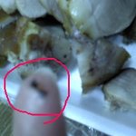 ★★사진有)<b>족발</b>에서 벌레가나왔어요★★