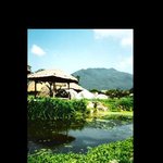 * 낙안 읍성 민속<b>마을</b> *