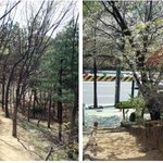 <b>도심</b> 속의 숲?