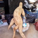 80리터 <b>소주</b>에 다이빙할 그의 운명은??