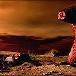 [펌/뉴스] 사람도 공격하는 몽고 벌레