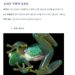 [펌/개개인에 따른 혐오] 지구상에 <b>투명</b> 동물들