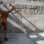 최고은 작가 사망 100일…배고픈 예술노동자는 여전