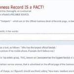 ★한류열풍의 중심 아이돌 no.2★