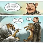 이 새끼고양이는 우리가 키우던 놈이였다해.