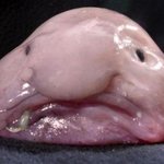 ●=-사진有......얼굴 평가좀해주세요~~