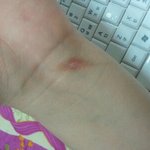 ◆◆◆ 패스트푸드점에서의 공감 2 ◆◆◆