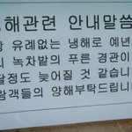 나홀로 <b>보성</b> 녹차밭 여행기~~ ^^ - 어쩌다 두번째..