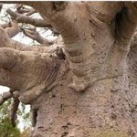 (각색) 웃겨서 떨리고 무서워서 떨리는 이야기♪ #11