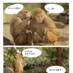 바람둥이 유세윤.. 개코<b>원숭이</b>로 작업걸다!