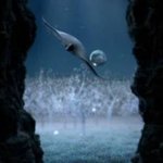 생명의 근원 바다 숲 살리기 프로젝트!