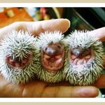 <b>한송</b>이 까실래요?ㅋㅋㅋ