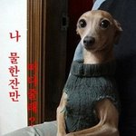 아이폰4, 아이폰4 사용 <b>동기</b>화 뭐냐고-_-