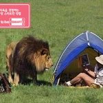 저기요 옆 <b>텐트</b>에서 왔는데요?