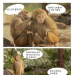 유세윤 개코원숭이로 <b>안구</b>정화하세요 읭 ㅋㅋㅋㅋㅋ