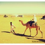 낙타타고 사하라<b>사막</b> 횡단하기 