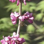 [리뷰]파나소닉 <b>AG</b> HMC-40AN HD캠코더 핥아보기2