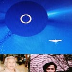 태양신 phoenix  삼족오를 <b>숭배</b>하는 종파 국민이 구원된다.^^