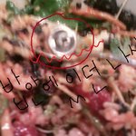 육회비빔밥에 <b>나사</b>가 들어있네요 + 주인아줌마의 행동 + <b>나사</b>비빔밥...