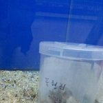 ★★★햄스터가 수감된 이유.....★★★