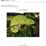 숨바꼭질 <b>best</b>