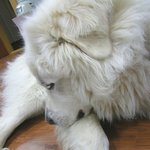 맞는건진...정말 너무나도 <b>절박</b>합니다! 톡커님들 제발 도와주세요...