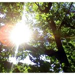 * 올바른 <b>일만</b> 생각하라 *