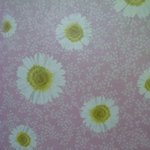 [사진有]내동생이 내 방 <b>벽지</b>에 해놓은 짓.....