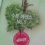 <b>제주</b> 유기농 <b>녹차</b>수 100%, 이니스프리 더 그린티 씨드 세럼 사용후기...