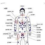 ★☆[그림有] 여자들을 위한 남자<b>or</b>사람의 급소 부위★☆